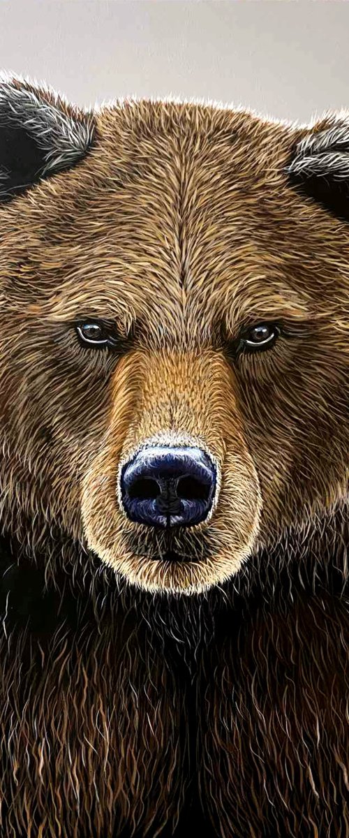 Brown Bear - wild life / wild animal / animalism by Elena Adele Dmitrenko