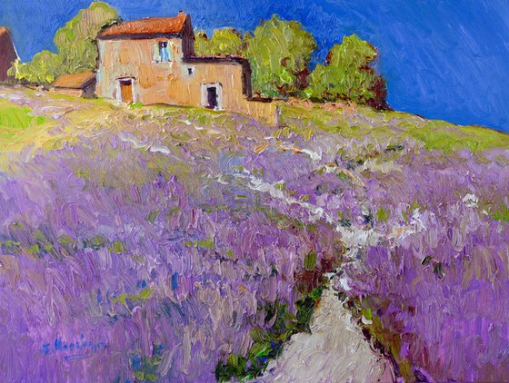 Lavender, Italian Village