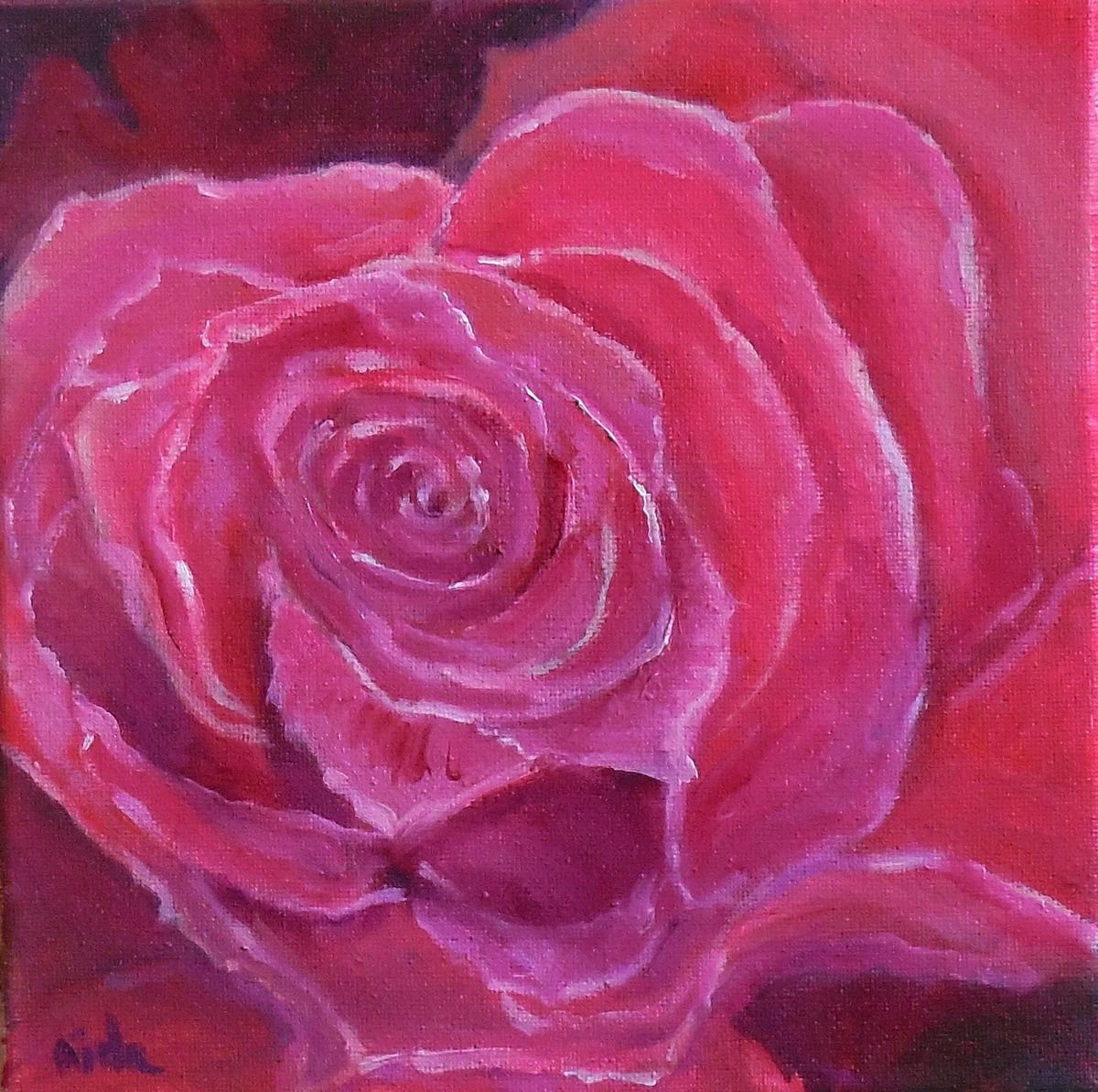 Rose by Aida Markiw