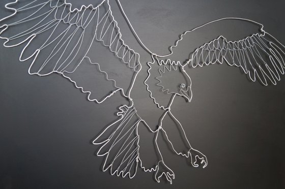 Bald Eagle in Flight Wire Drawing