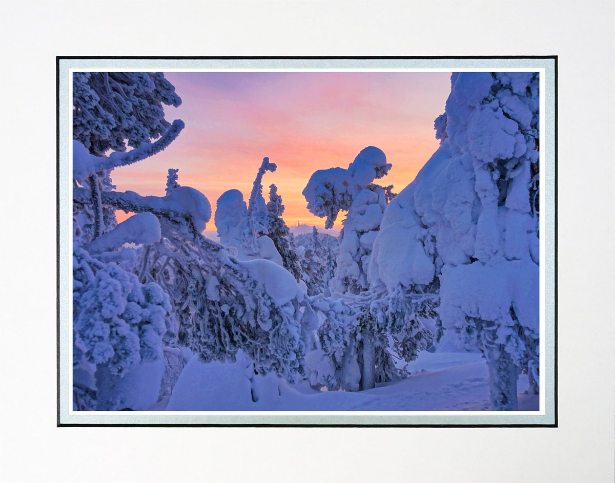Photorealistic Landscape Photograph By Robin Clarke, 14 X 11", Finland Snow Forest Ten, Original Artwork