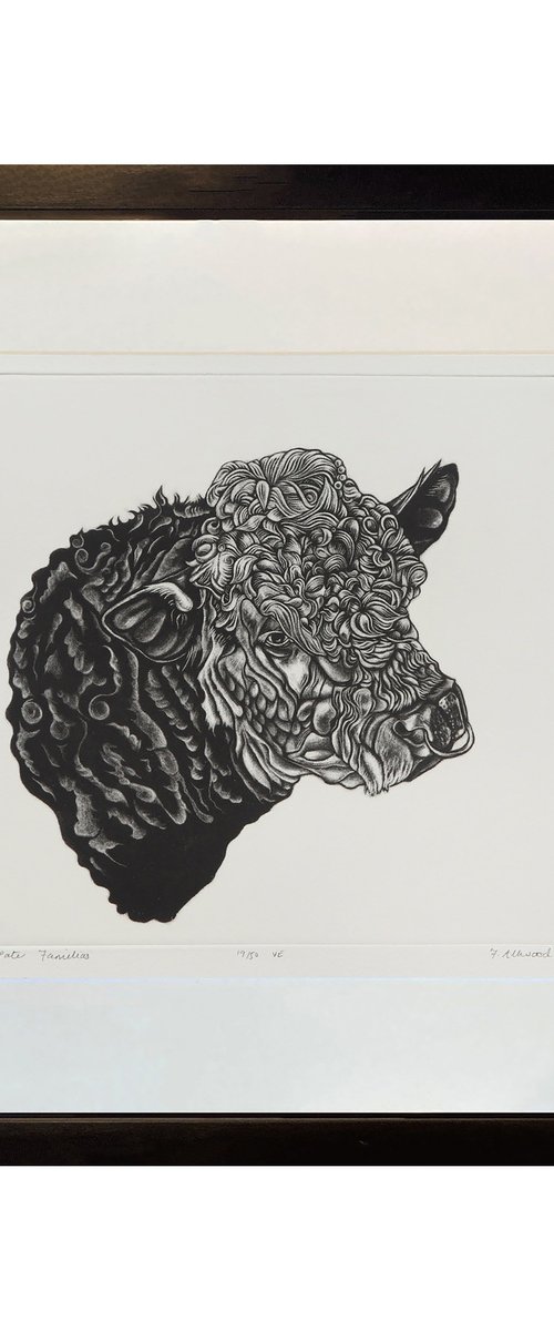 BULL PRINT - Mezzotint by Francis Allwood