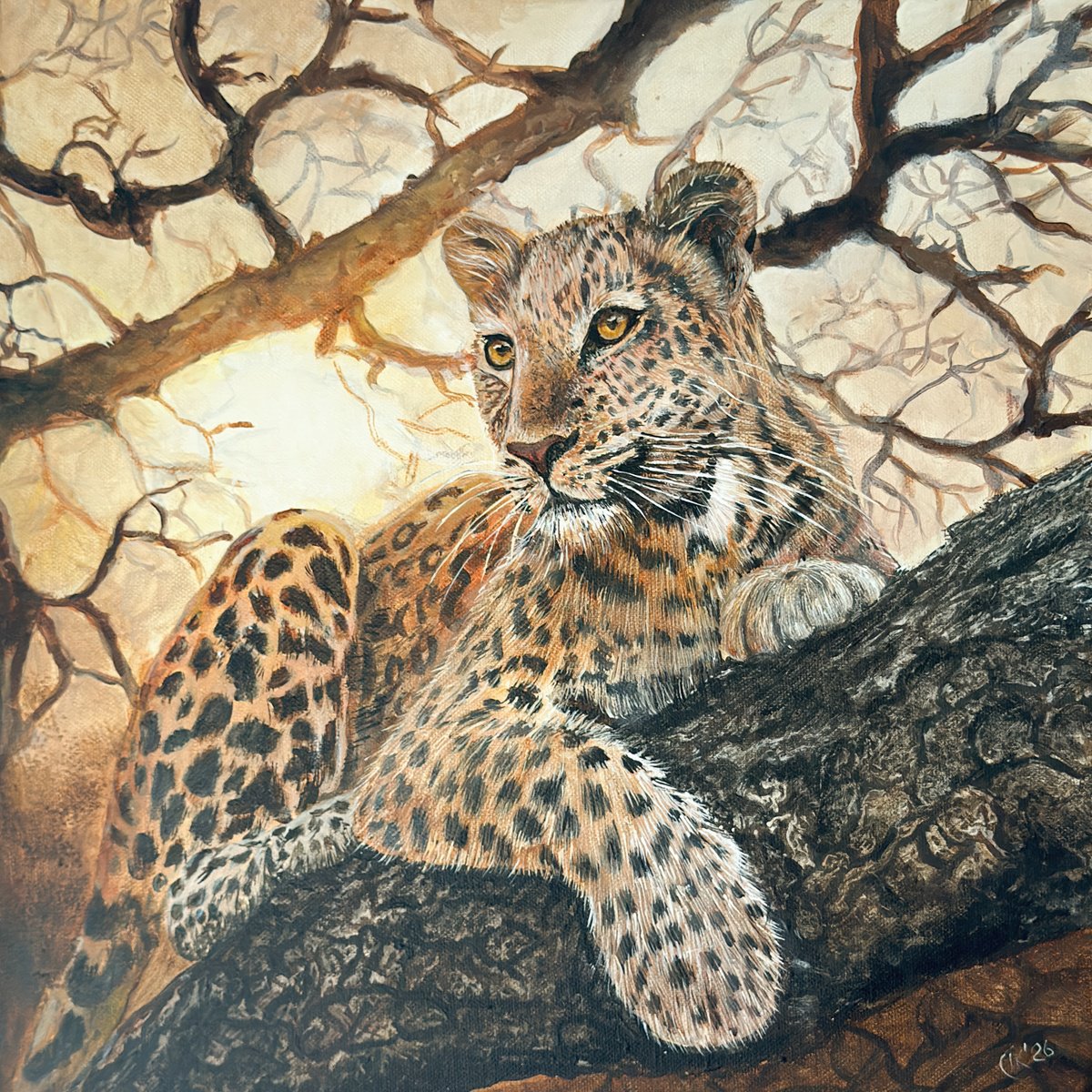 Stillness At Dusk By Irina Kurganskaya, 16 X 16, Artwork For Sale On Artfinder