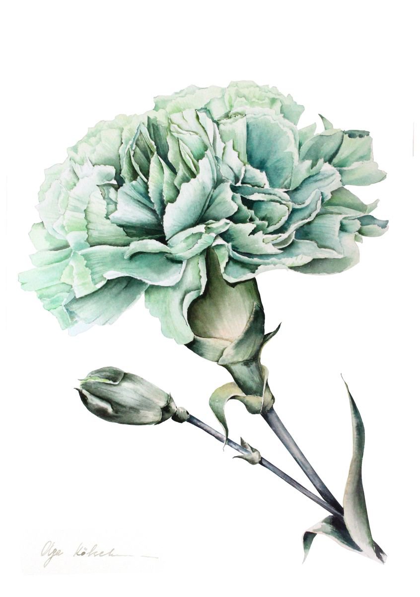 Green Carnation Watercolour by Olga Koelsch Artfinder