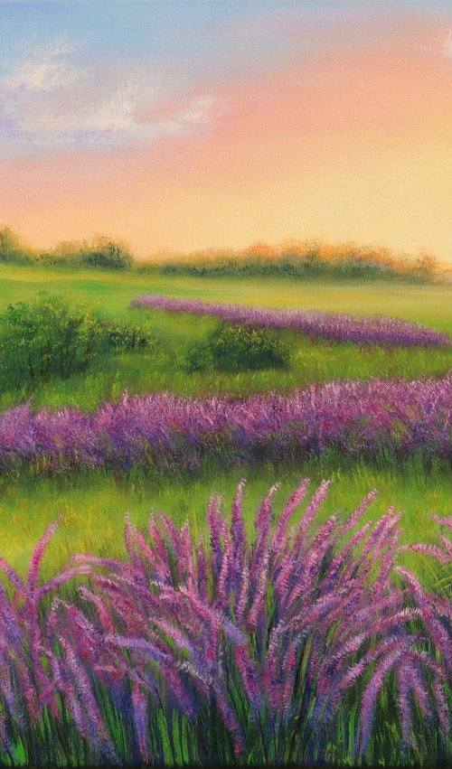 Lavender field in Provence by Ludmilla Ukrow