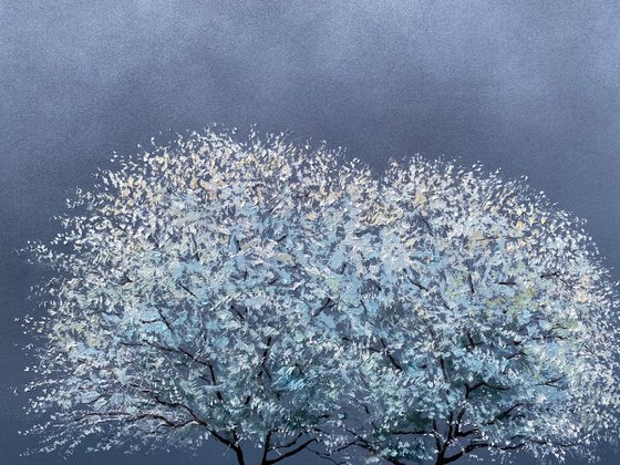2 Trees in Quiet Stillness