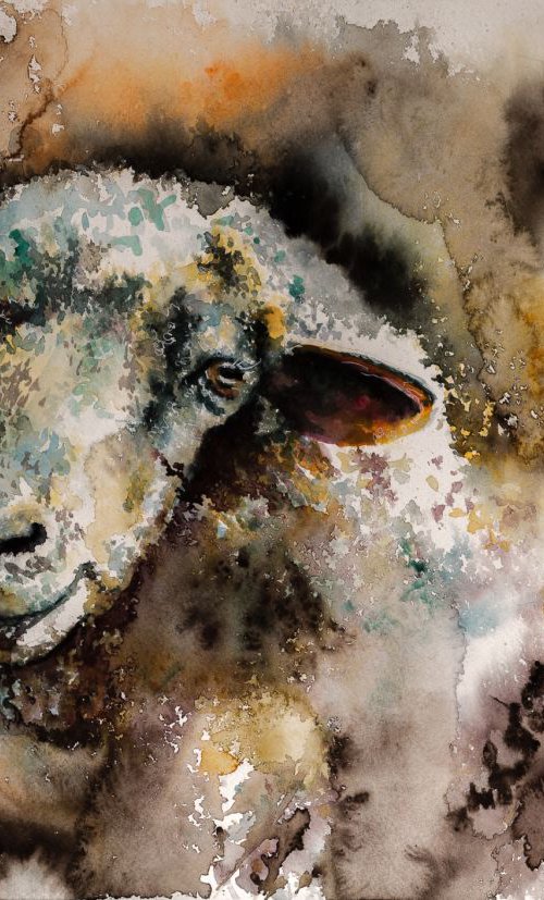 Sheep by Kovács Anna Brigitta