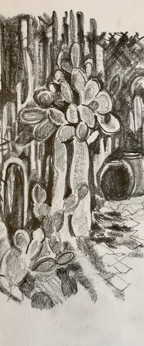 Cactus Garden Sketch 2 by Annie Meier
