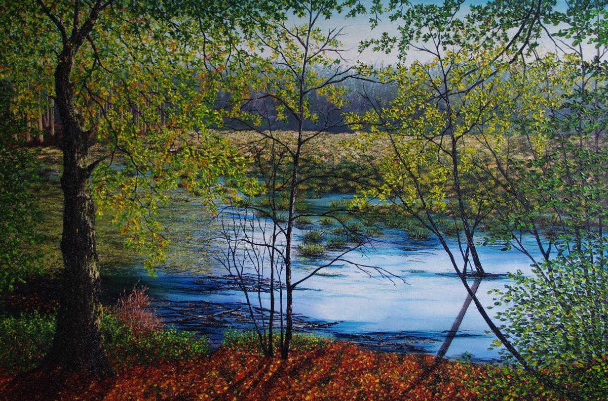 Delamere Moss in Autumn by Hazel Thomson