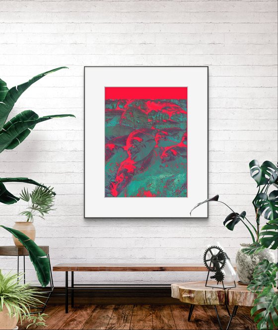 PhotoCollage Red Fish Sea Sand