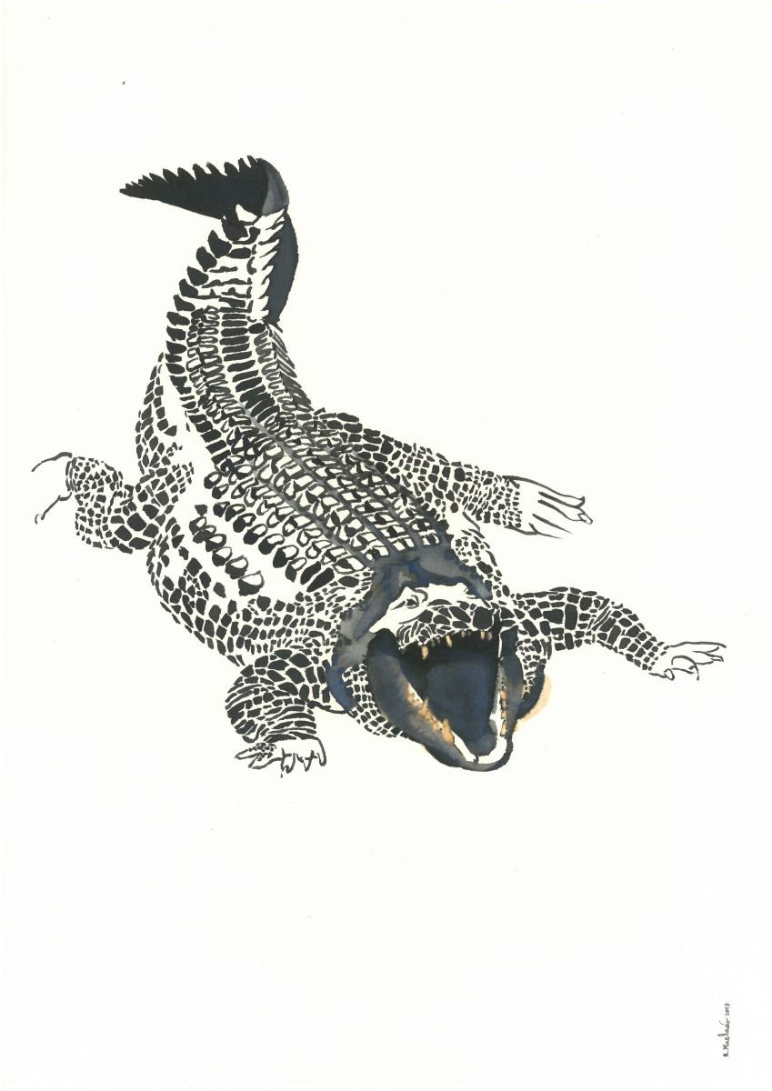 Crocodile I Animal Drawing by Ricardo Machado