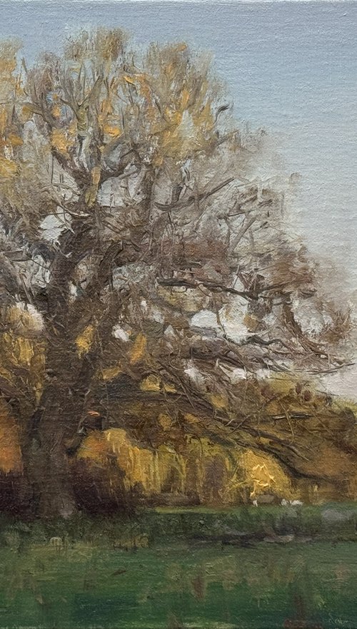 Moonrise over the Old Oak by Alex James Long