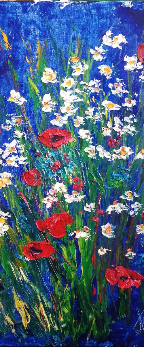 Poppies and daisies at the meadow by Oksana Fedorova