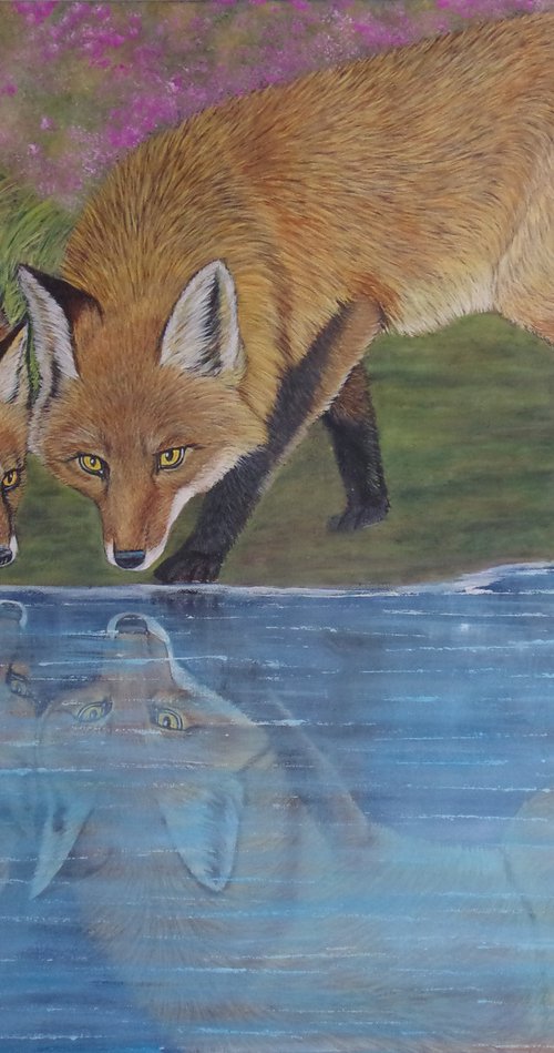 Red Fox with her Pup at the lake and water reflection by Sofya Mikeworth