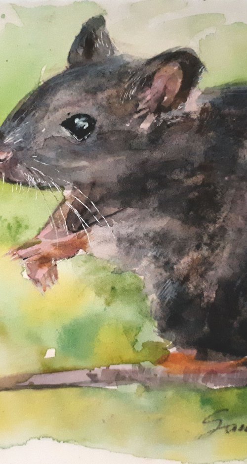 Mouse II / FROM THE ANIMAL PORTRAITS SERIES / ORIGINAL WATERCOLOR PAINTING by Salana Art Gallery