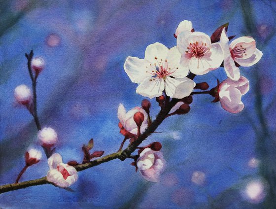 Cherry Blossoms -  cherry tree branch - Mother's Day gift - Spring watercolor