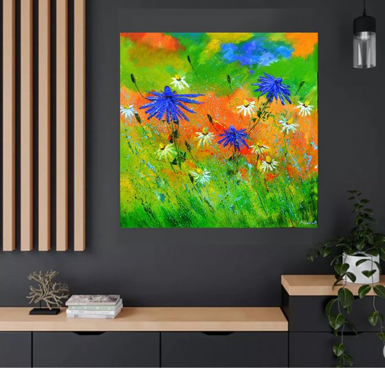 Wild flowers - 7723