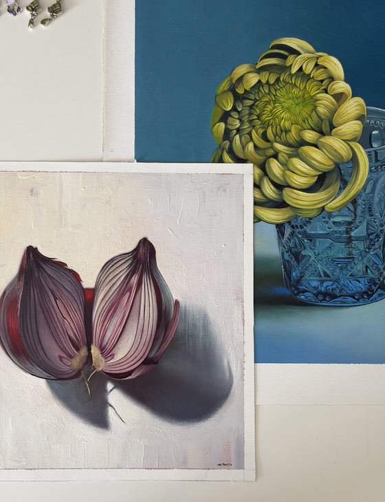 Onion. Still life