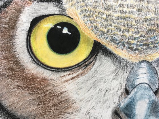 Large Owl Drawing (85x59cm)