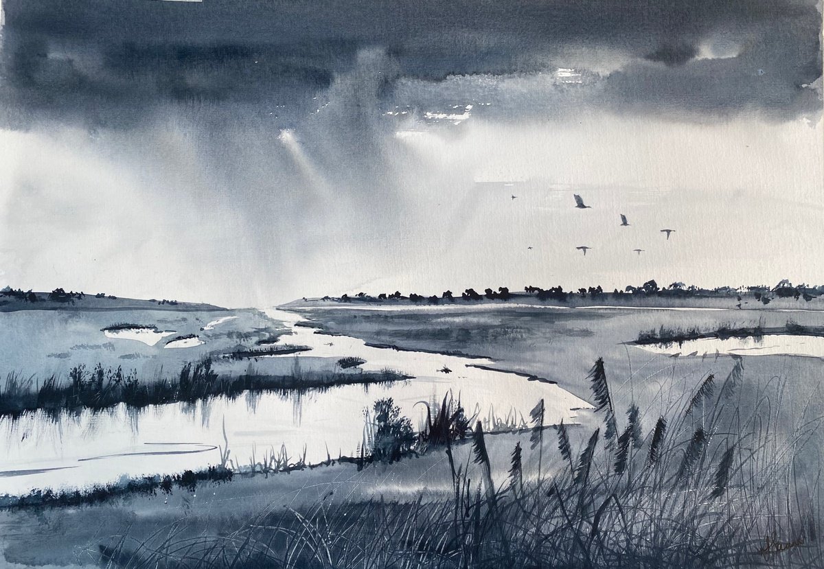 Monochrome - Raining over marshland, geese by Teresa Tanner