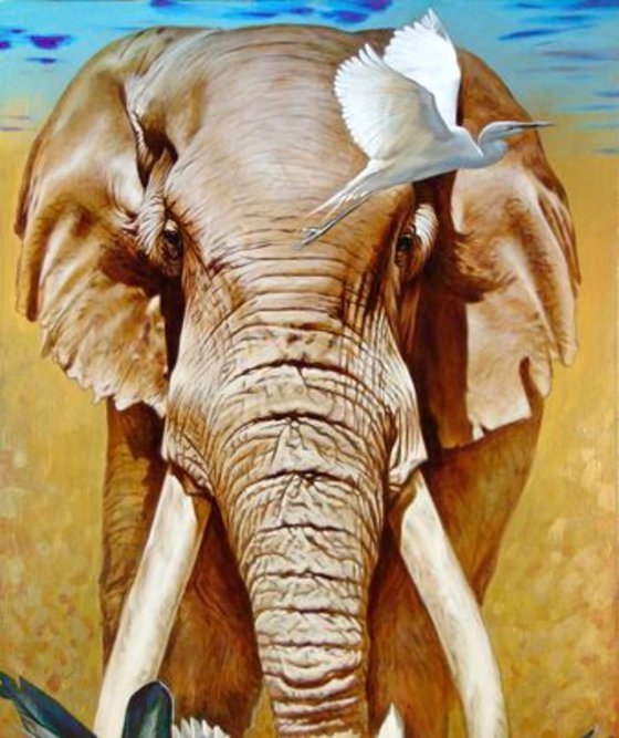 Elephant