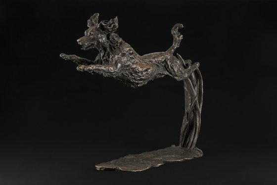 Leaping Spaniel FB