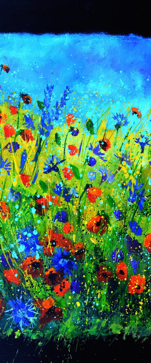 Wild flowers - 6723 by Pol Henry Ledent