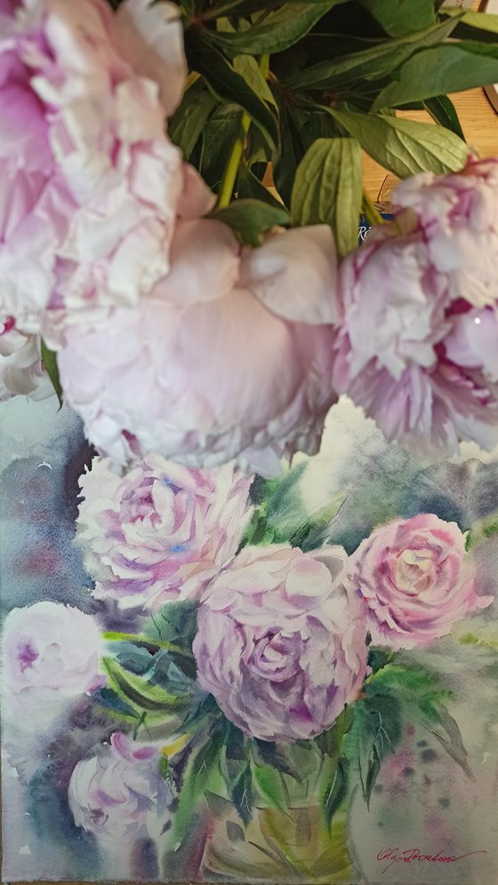 Pale pink peonies