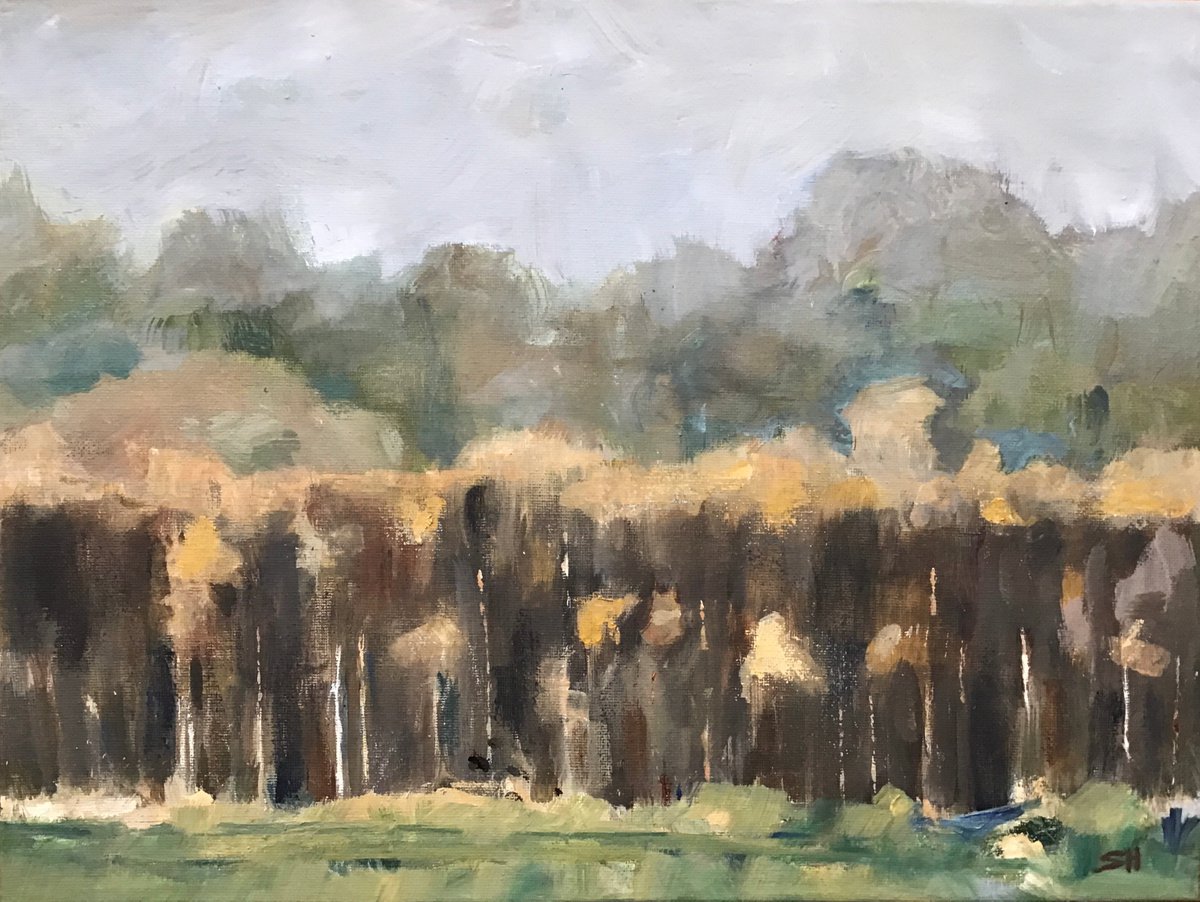 Impressionistic Landscape Oil Painting By Sandra Haney, 16 X 12", Autumn Mist, Original Artwork