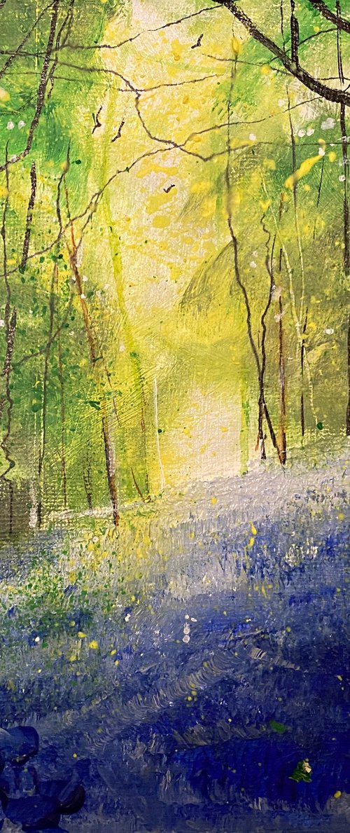 Spring day, Bluebell Wood by Teresa Tanner