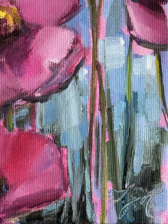 Poppies All Over 1