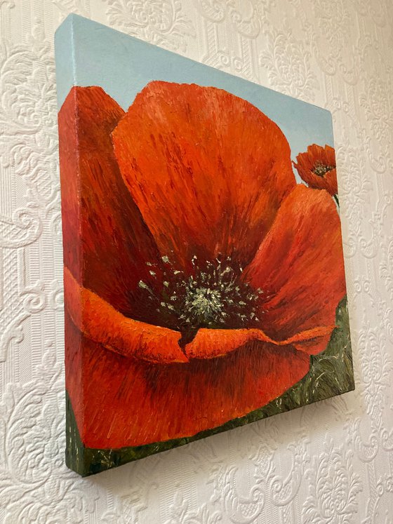 Poppies