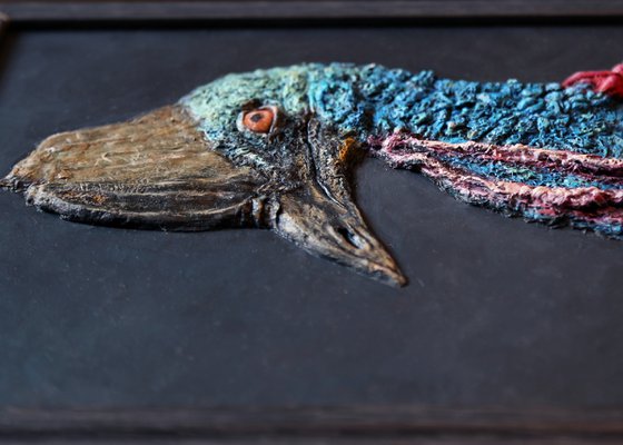 cassowarybird