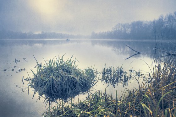 Fog on the lake.