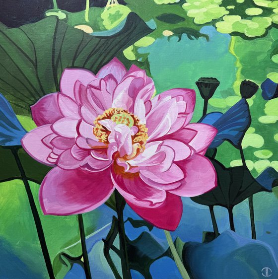 lotus flower