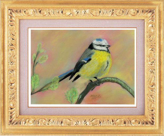 ,, Yellow bird'' pastel on paper