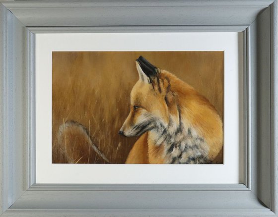 'In long Grass', Fox Painting, Framed and Ready to Hang