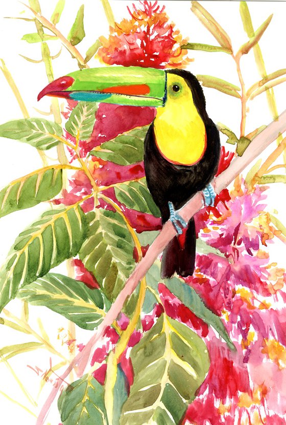 Toucan in the jungle