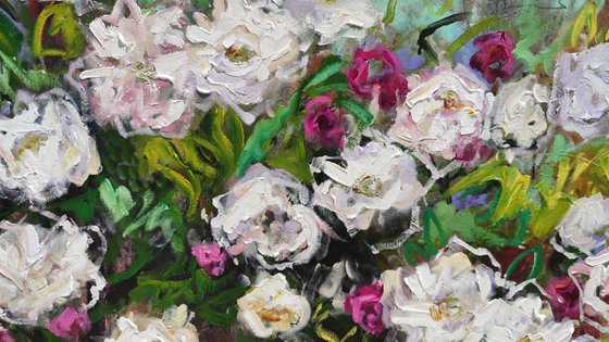 Summer Rose Cascade