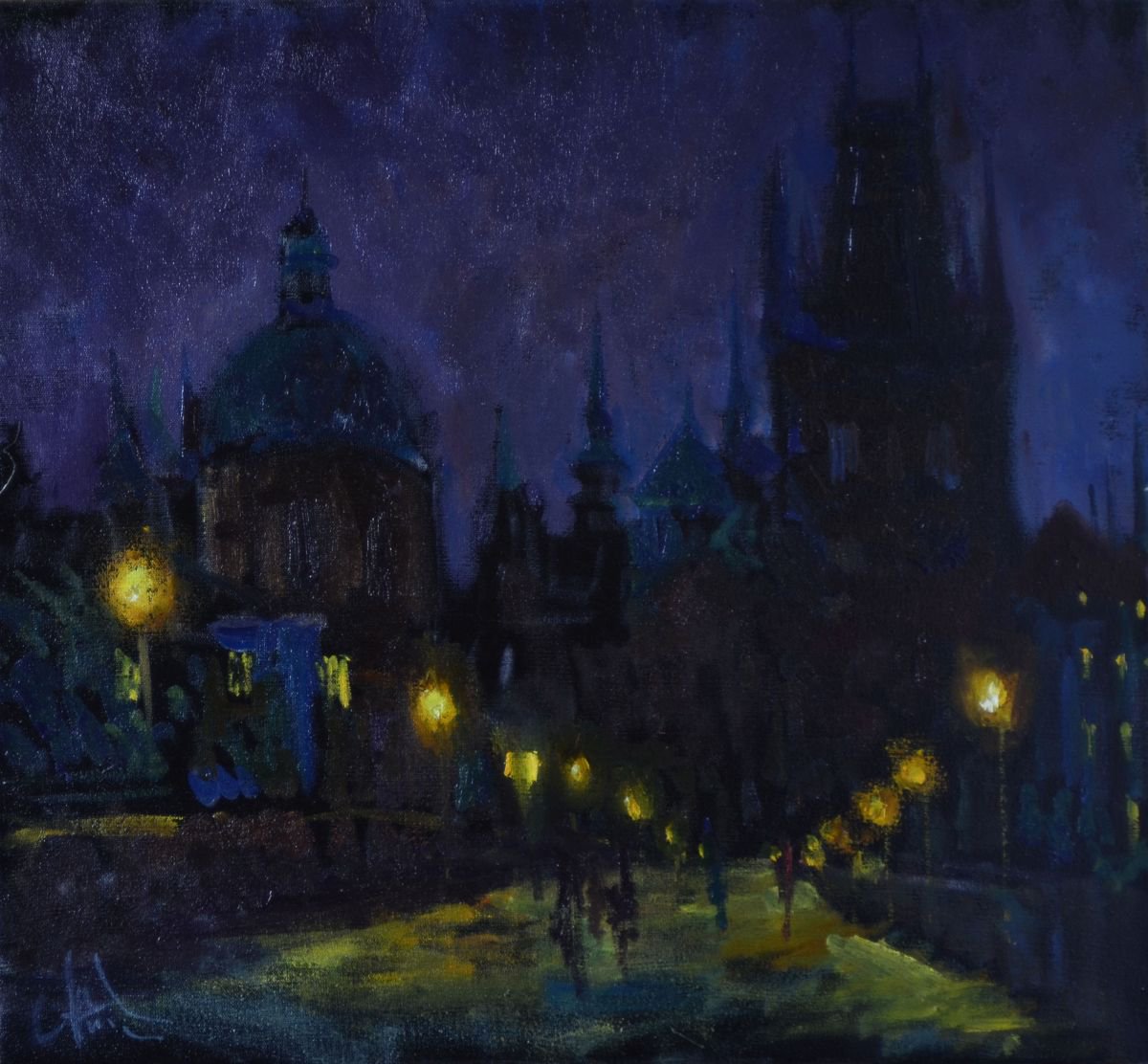 Night on the Charles Bridge by Andriy Naboka