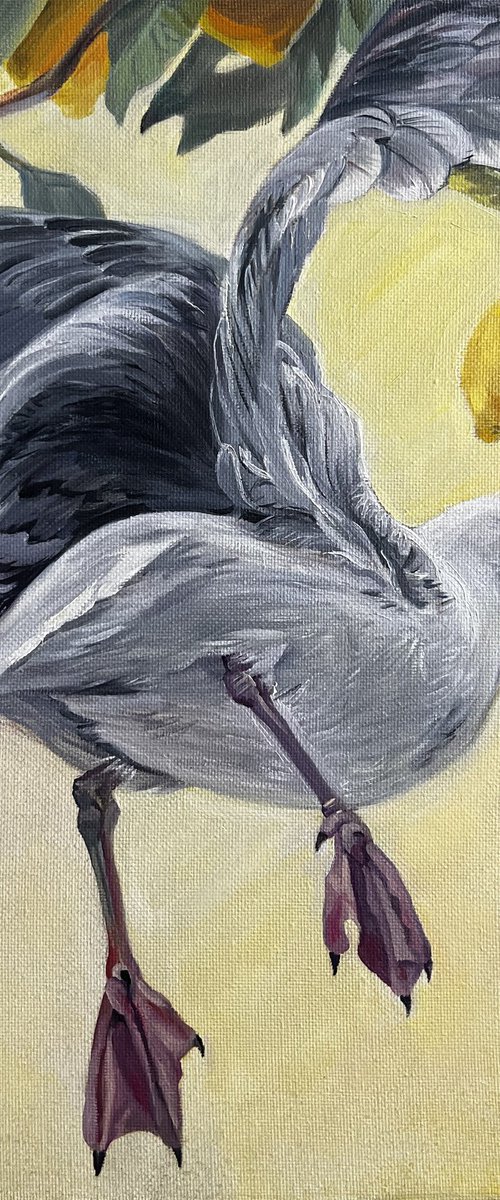 Seagull of Italy by Natalia Veyner