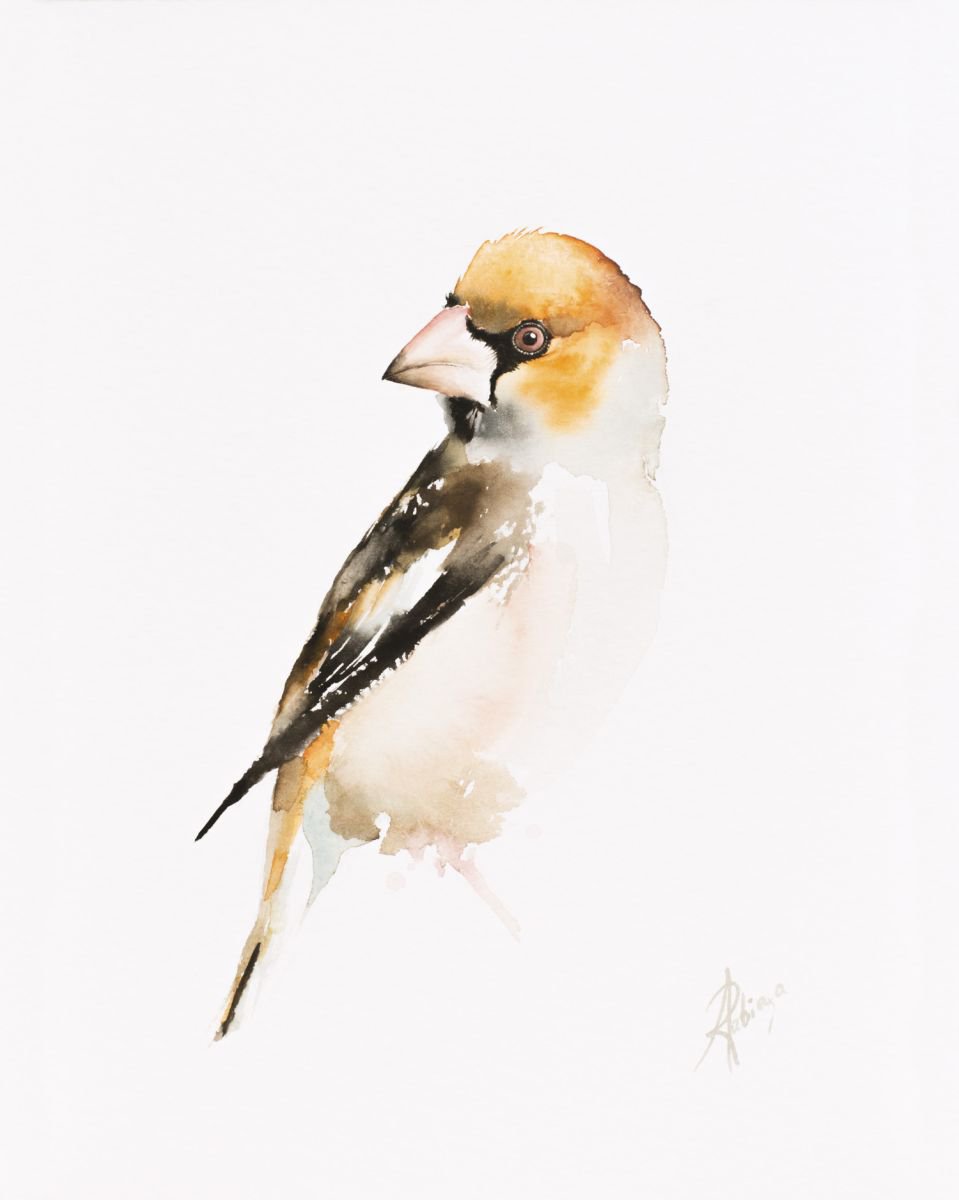 Illustrative Animal Watercolour By Andrzej Rabiega, 9 X 12, Hawfinch (Coccothraustes Coccothraustes), Original Artwork