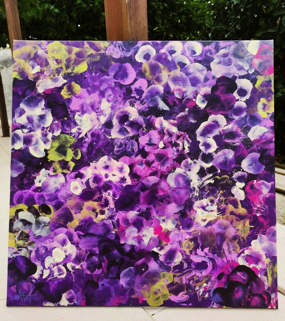 Violet Drift