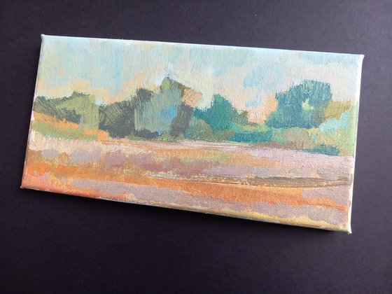 Longrun Meadow