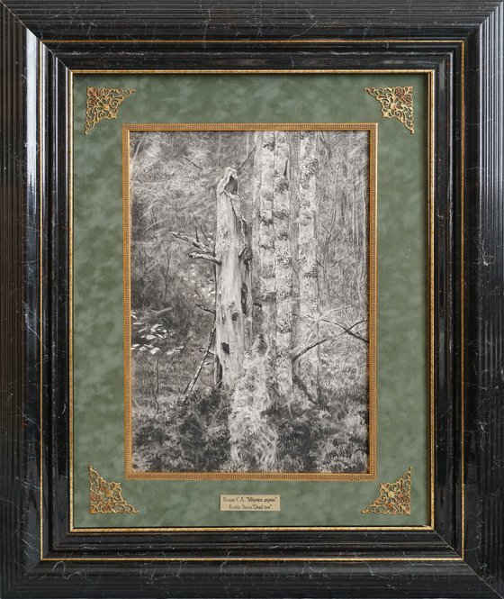 Dead tree