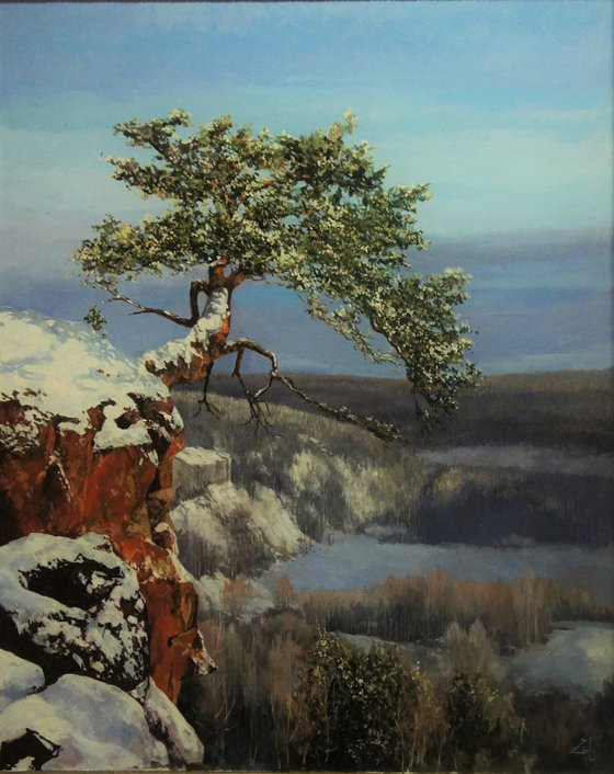 Tree on Cliff. Winter