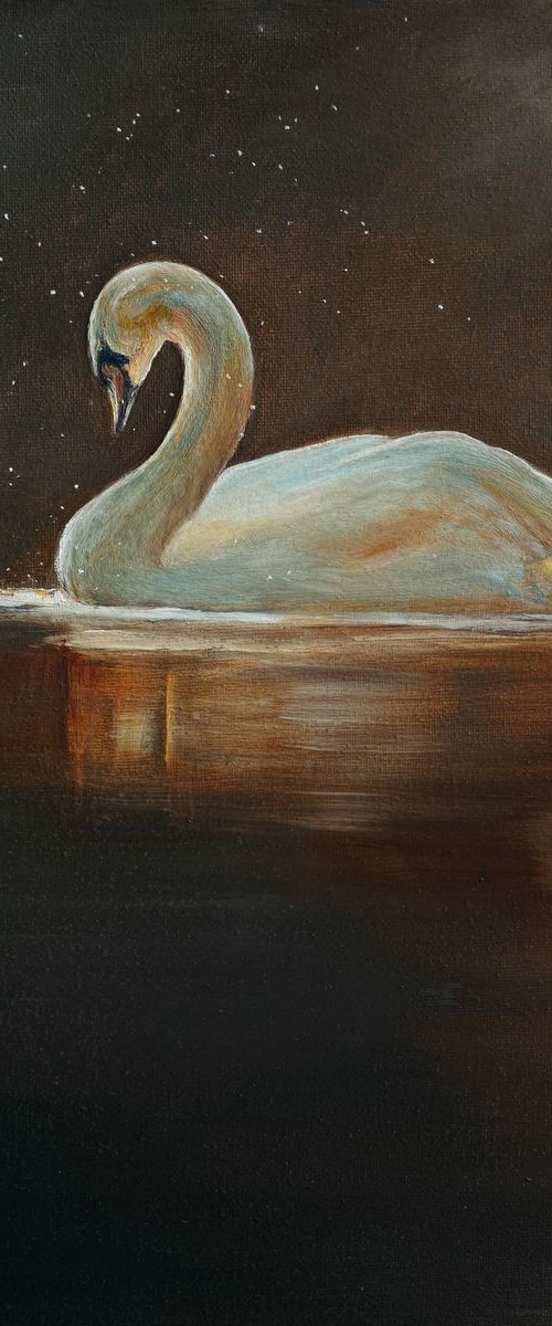 The swan with chocolate pool ( for Linda Vice ) by Maxence Ma