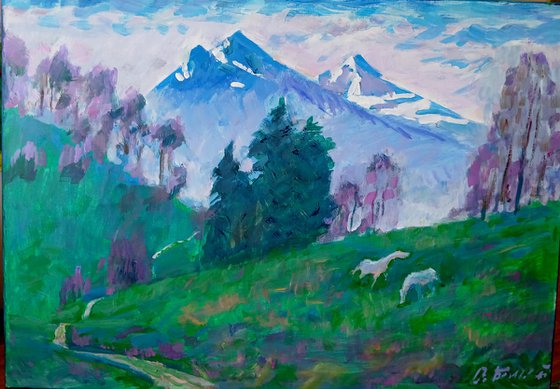 Alpine trail