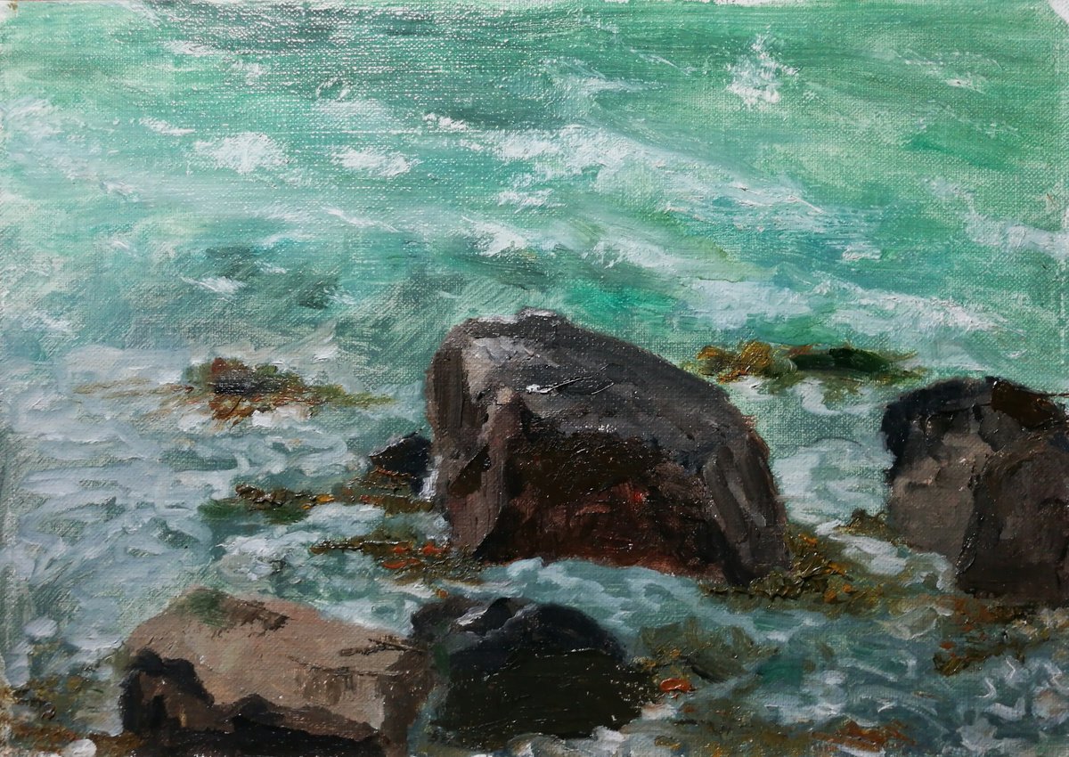 Shoreline at Lobster Bay by Daniela Roughsedge