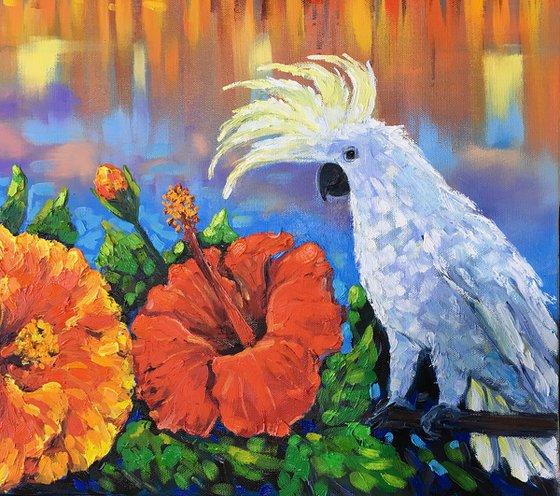 Brisbane Summer Morning – Cockatoo and Hibiscus Flowers
